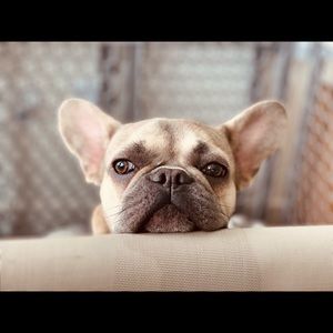 Meet your Posher, Ymani